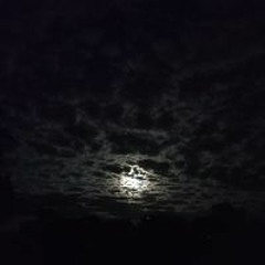 Артём Савастюк