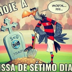 marcelu's brother