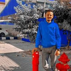 محمود الغندور