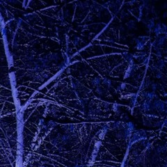 Uranic Pine2