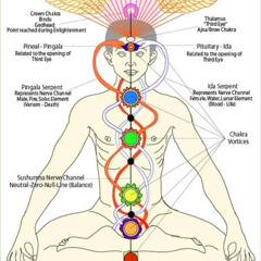 Thrillionare Divine Dutchman innerG