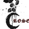 Crose
