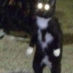 ZAR