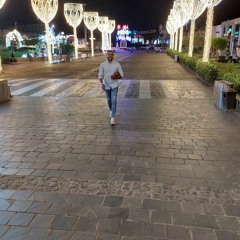 ali adel ali