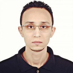 Mohamed Mohamed Shawky