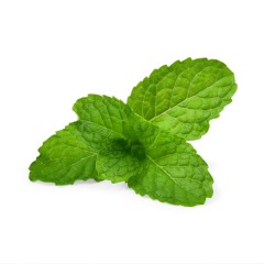 MentaMilk
