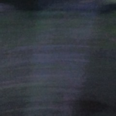 Roustrash