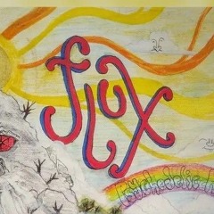 FluX