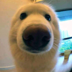 귝