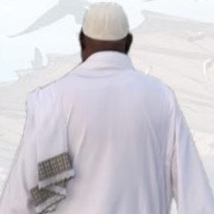 tarig hamid