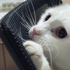 진접