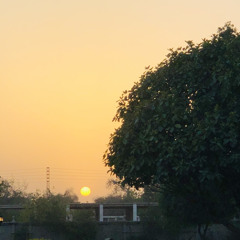 nasha