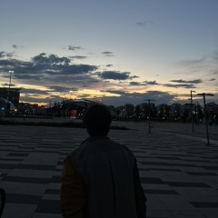 TEMMISS