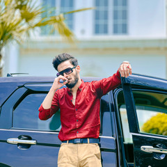 Syed Rajeel