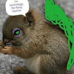 Squirreliggy Morganite