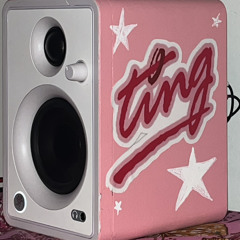 dj.pinkting