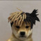 xxxahrowyn