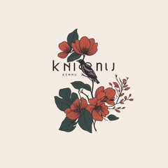 knemü 神