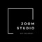 Zoom audio hub