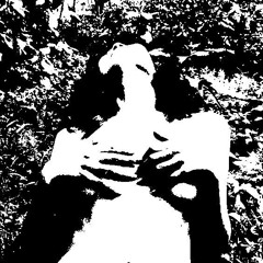 loveless amateurs