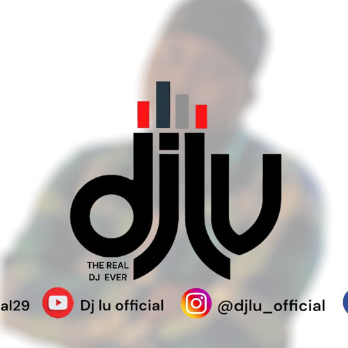Dj lu official — artist photo