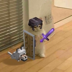 permit hurple