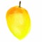 The Last Mango