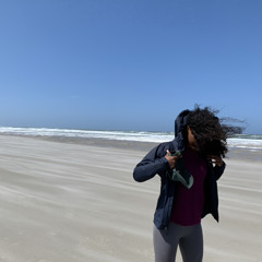 lynnsc