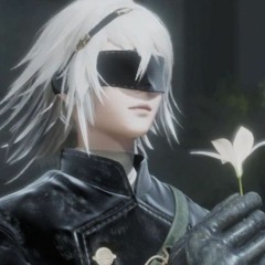 BONSAI ARCHIVE
