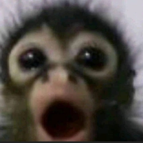 Skrillex Siren Intro (2016~)