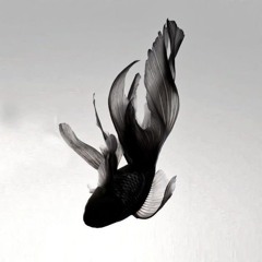 ]t[i{a