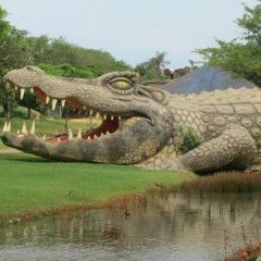 RM Crocodilo 🐊