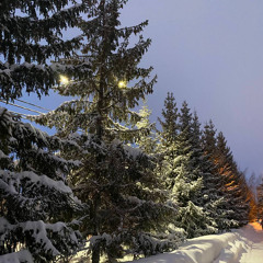 nastyanakva
