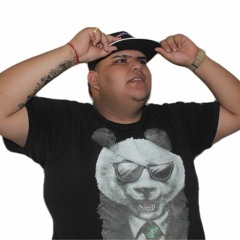 Rhinos_Dj