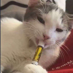 biggyboy1773