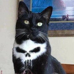 たくや