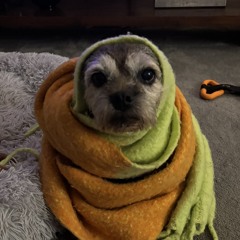 Poppy Murphy