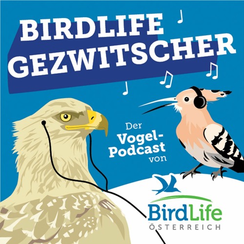 BirdLife Gezwitscher’s avatar