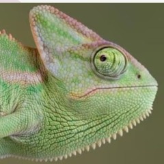 Kiko González Fontán