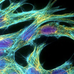 Ten Thousand Words - Sean.MP3