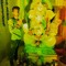 dj Srikanth nayak