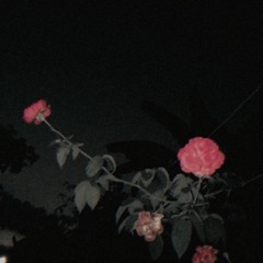 klldbll_