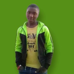 nelphi