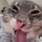 Tom