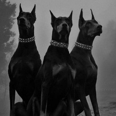 Anna_Hell