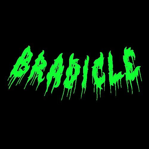 BRADICLE’s avatar