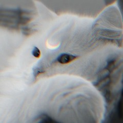 Voidddd