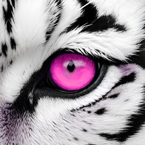 T-Fest & Скриптонит - Ламбада (flaksboi remix)