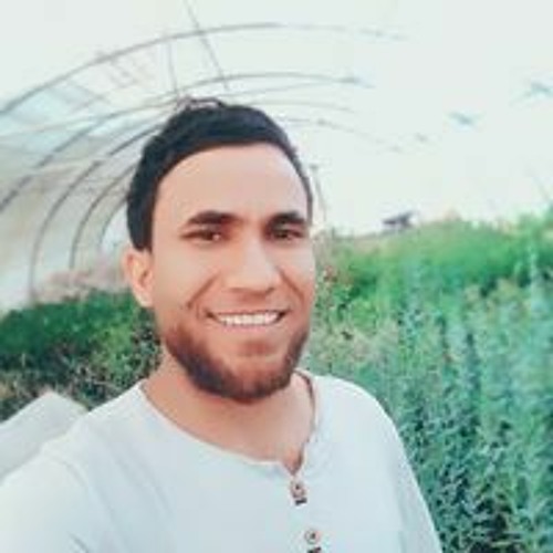 فراس البديري’s avatar
