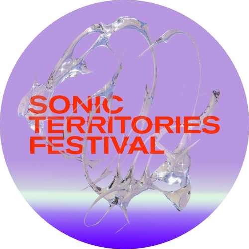 Sonic Territories Festival’s avatar